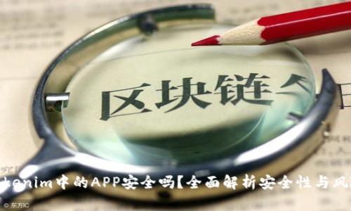 Tokenim中的APP安全吗？全面解析安全性与风险