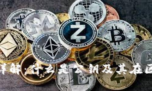 Tokenim公钥详解：什么是公钥及其在区块链中的作用