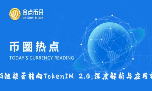 OMG链能否转向TokenIM 2.0：深度解析与应用前景