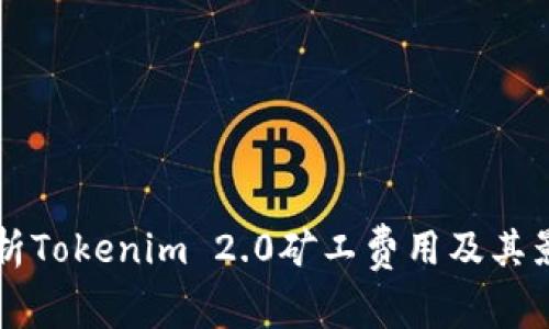 深入解析Tokenim 2.0矿工费用及其影响因素