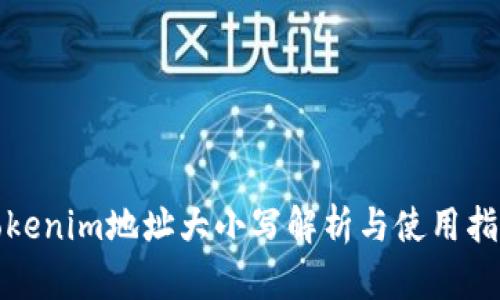 Tokenim地址大小写解析与使用指南