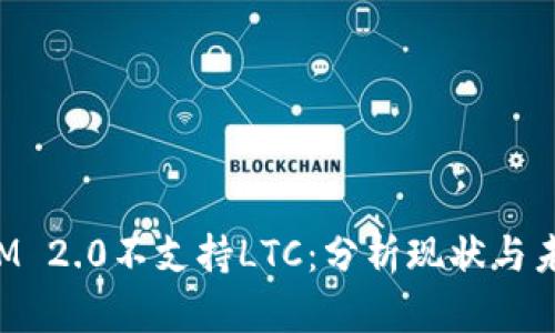 TokenIM 2.0不支持LTC：分析现状与未来发展