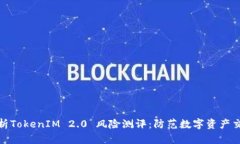 全面解析TokenIM 2.0 风险测