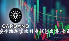 如何安全地加密比特币钱