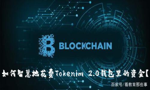 如何智慧地花费Tokenim 2.0钱包里的资金？