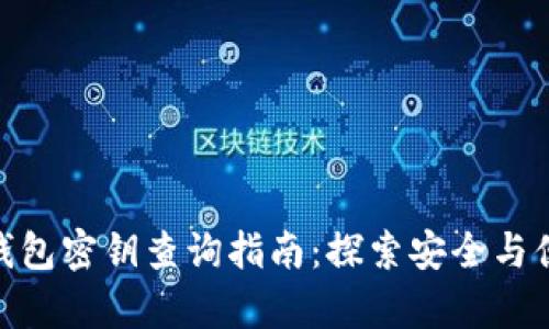 TokenIM 2.0钱包密钥查询指南：探索安全与便捷的存储之道