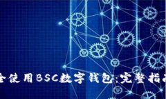 如何安全使用BSC数字钱包