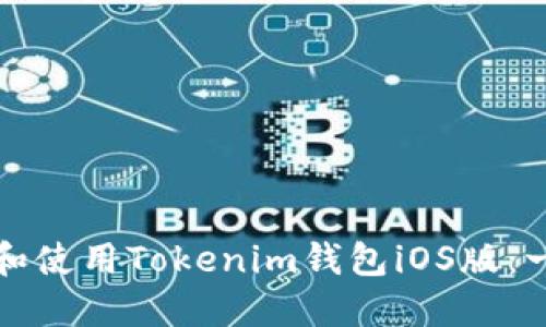 如何下载和使用Tokenim钱包iOS版：一步步指导