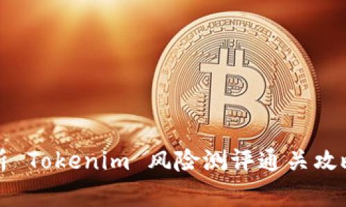 全面解析 Tokenim 风险测评通关攻略与技巧