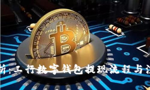 全面解析：工行数字钱包提现流程与注意事项