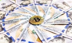   如何验证加密钱包的真实