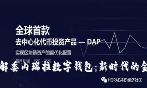 深入了解委内瑞拉数字钱包：新时代的金融变革