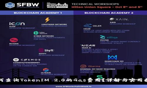 如何查询TokenIM 2.0的Gas费用？详解与实用技巧