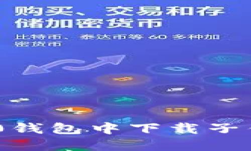 在Tokenim 2.0钱包中下载子钱包的全面指南