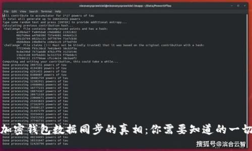 加密钱包数据同步的真相：你需要知道的一切