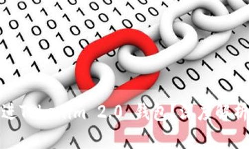 假币能否冲进Tokenim 2.0 钱包？深度解析与风险提示