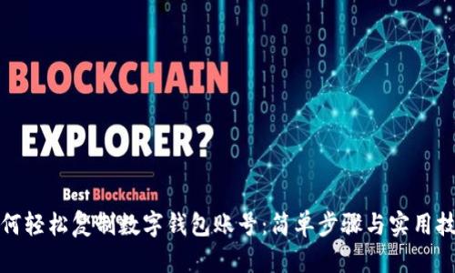 如何轻松复制数字钱包账号：简单步骤与实用技巧