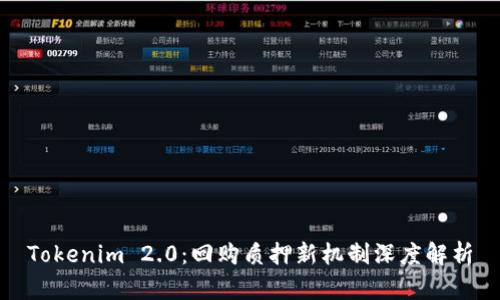 Tokenim 2.0：回购质押新机制深度解析