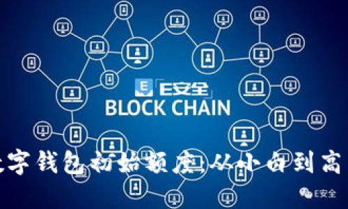 如何设置数字钱包初始额度：从小白到高手的全攻略