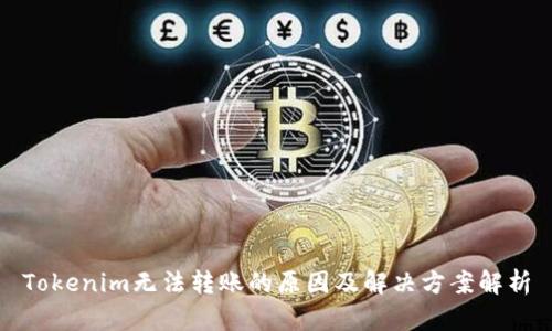 Tokenim无法转账的原因及解决方案解析