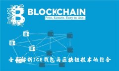 全面解析ICE钱包与区块链