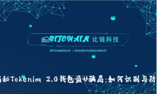 揭秘Tokenim 2.0钱包盗U骗局：如何识别与防范