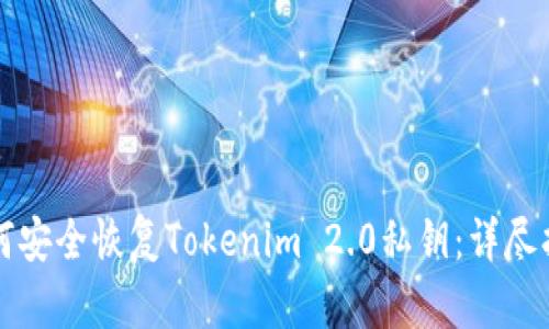如何安全恢复Tokenim 2.0私钥：详尽指南