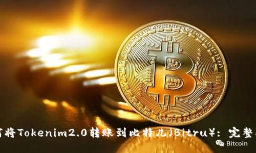如何将Tokenim2.0转账到比特儿（Bitru）: 完整指南