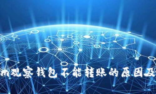 : tokenim观察钱包不能转账的原因及解决方案