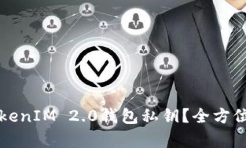 如何安全管理TokenIM 2.0钱包私钥？全方位解析与实用指南