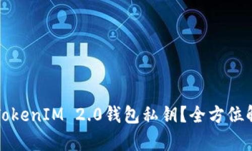 如何安全管理TokenIM 2.0钱包私钥？全方位解析与实用指南