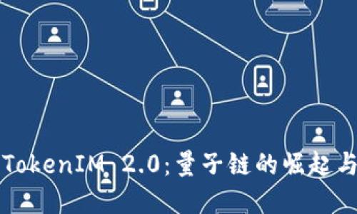 深入探索TokenIM 2.0：量子链的崛起与未来发展