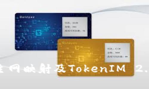 详解BTM主网映射及TokenIM 2.0功能解析