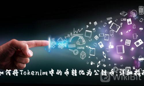 如何将Tokenim中的币转化为公链币：详细指南
