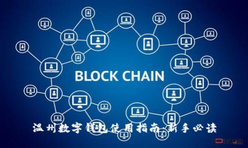 温州数字钱包使用指南：新手必读