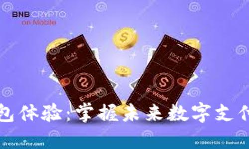 央行数字钱包体验：掌握未来数字支付的全新方式