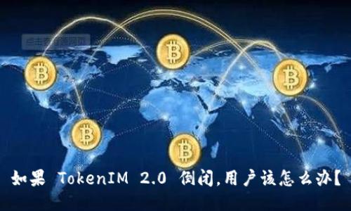 如果 TokenIM 2.0 倒闭，用户该怎么办？
