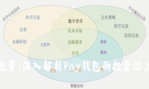 区块链投资：深入解析Pay钱包的投资潜力与风险