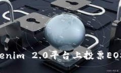 如何在Tokenim 2.0平台上投票