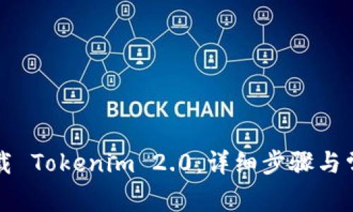 国内如何下载 Tokenim 2.0：详细步骤与常见问题解答