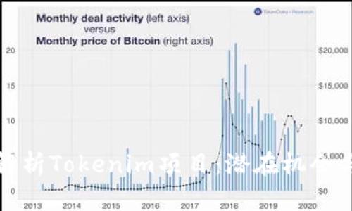 深入解析Tokenim项目：潜在机会与挑战