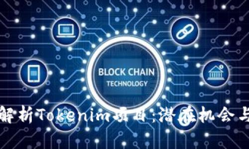 深入解析Tokenim项目：潜在机会与挑战