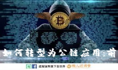 数字钱包如何转型为公链应用：前景与挑战