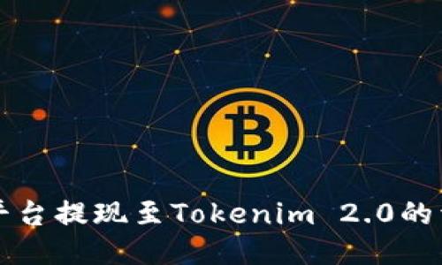 比特儿平台提现至Tokenim 2.0的详细指南