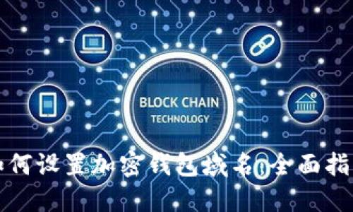 如何设置加密钱包域名：全面指南