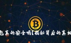数字钱包真的安全吗？揭秘背后的真相与风险