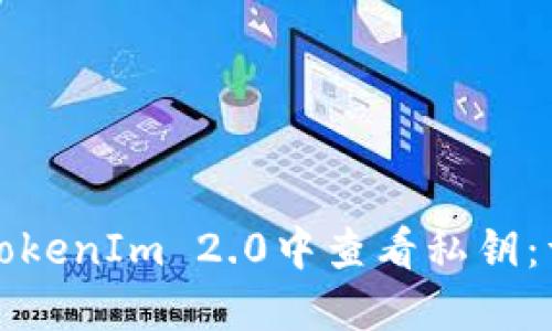 如何在TokenIm 2.0中查看私钥：详细指南