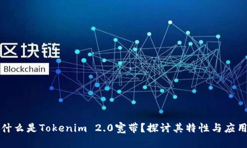 什么是Tokenim 2.0宽带？探讨其特性与应用